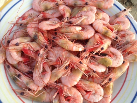 Shrimp supper